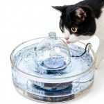 BROOK All Glass Cat Fountain Adjustable Flow Pet Hydration-0