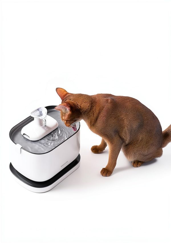 PETLIBRO Cat Water Fountain Rechargeable Battery Wireless-2