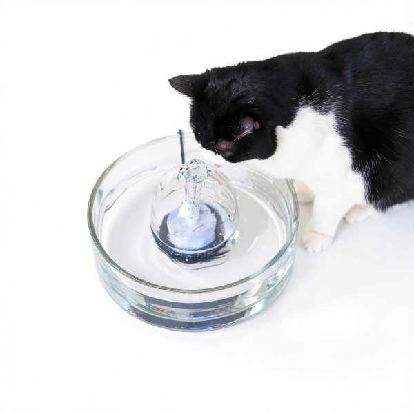 BROOK All Glass Cat Fountain Adjustable Flow Pet Hydration-2